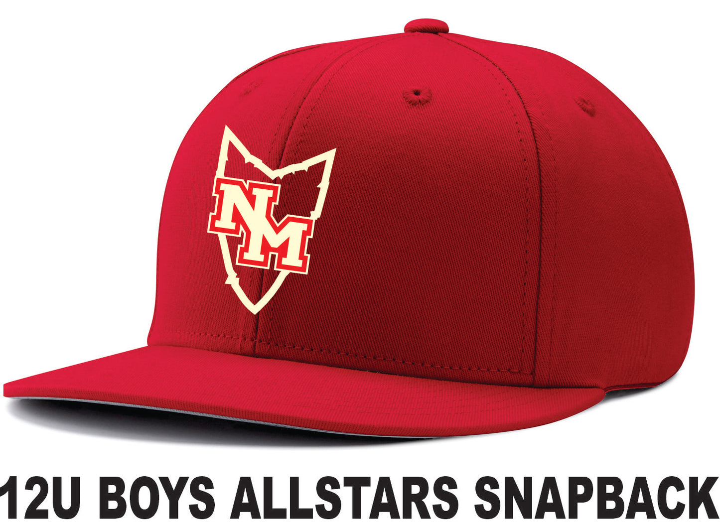 ALL TEAMS ALL STAR TEAM HAT SNAPBACK