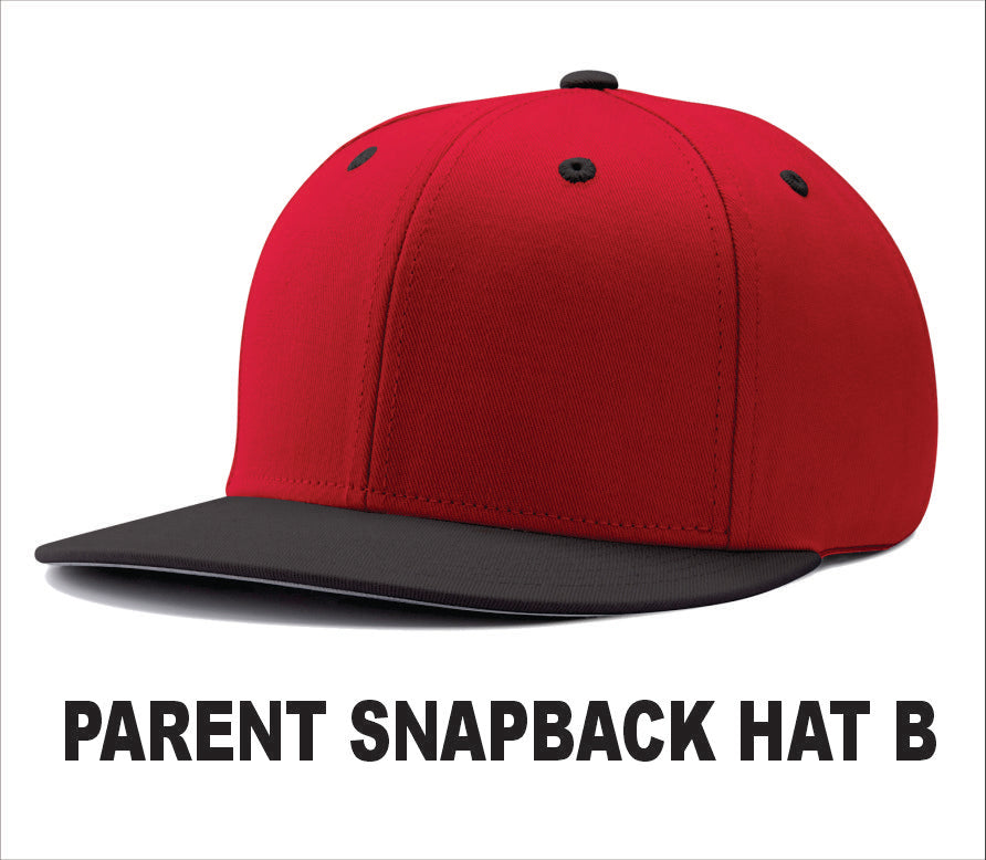 NM PARENT HAT SNAPBACK