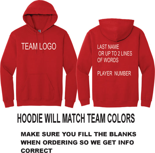 MINOR LEAGUE TEAM HOODIE SWEATSHIRT