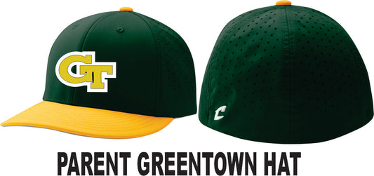 GREENTOWN ALL-STAR HAT FITTED