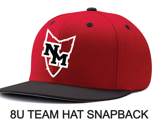 ALL TEAMS ALL STAR TEAM HAT SNAPBACK