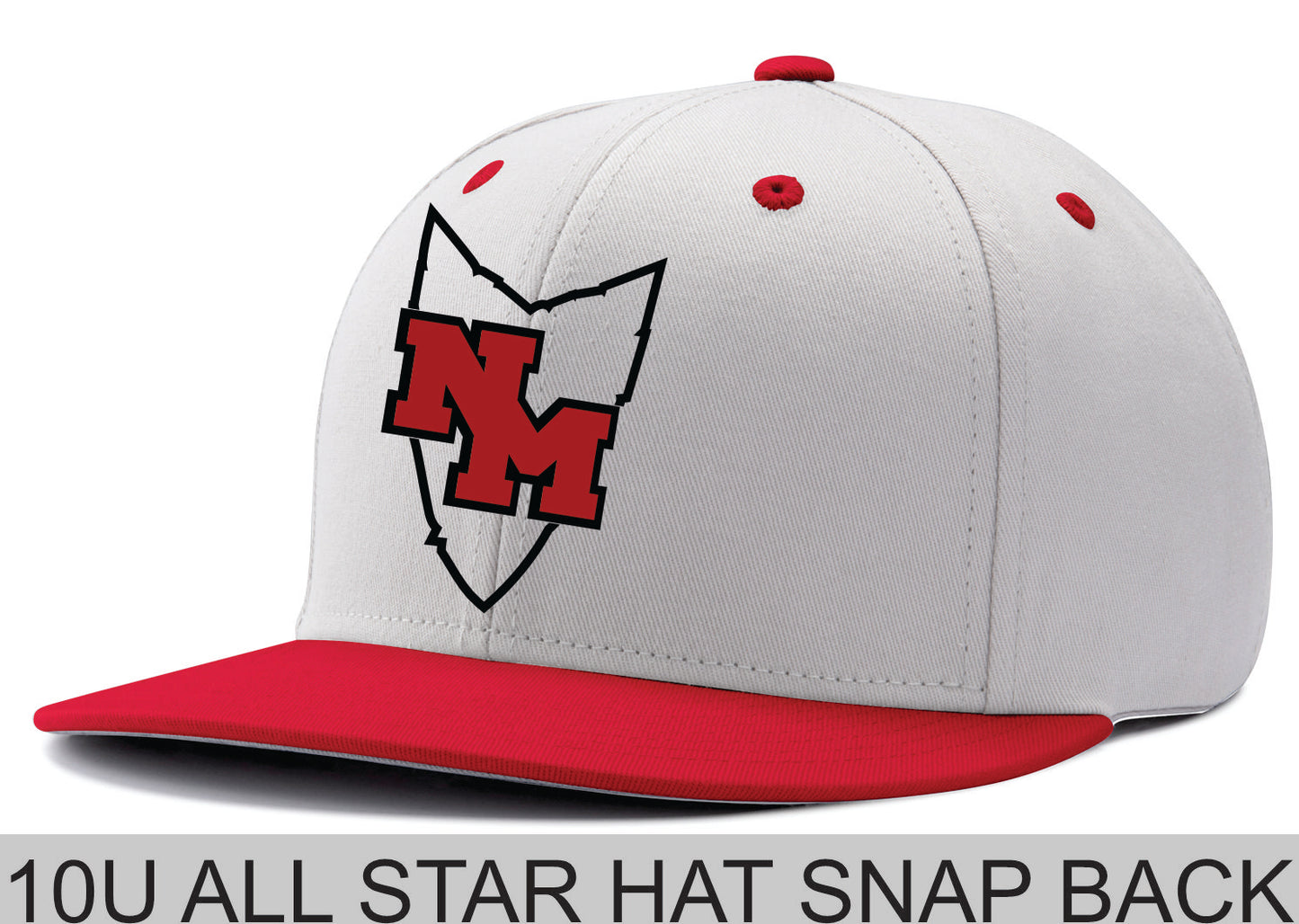 ALL TEAMS ALL STAR TEAM HAT SNAPBACK