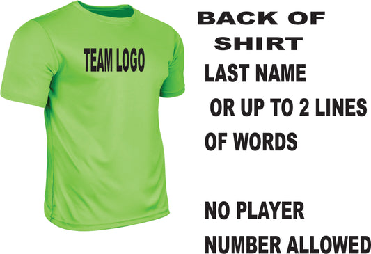 COACH PITCH TEAM (DRI FIT)  T-SHIRT