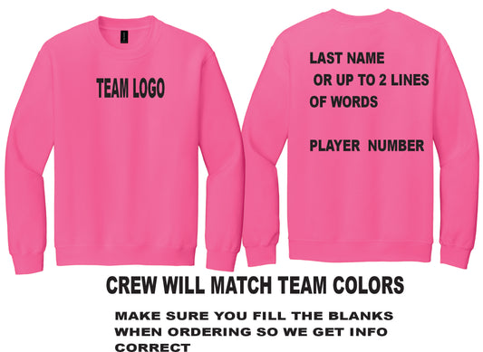 MINOR LEAGUE TEAM  CREW SWEATSHIRT